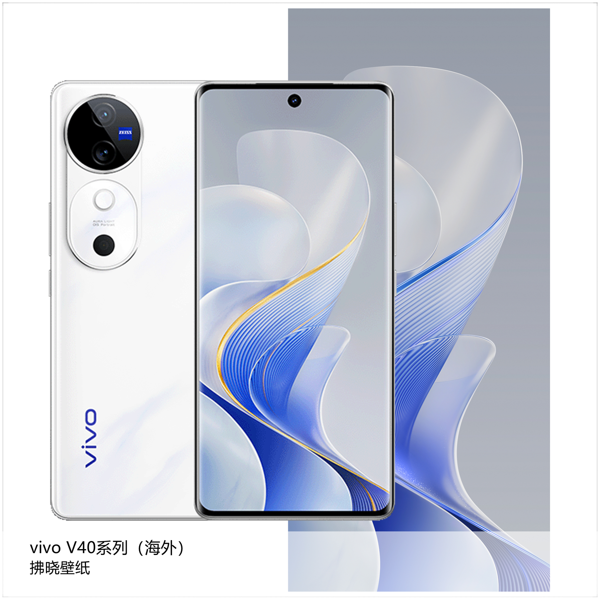 vivo手机助手官方下载(vivo手机助手官方app下载)